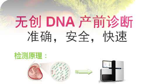无创DNA
