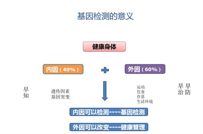 癌症基因检测