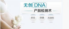 香港无创DNA筛查哪些染色体异常？