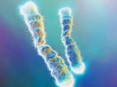 染色体异常疾病能治疗吗？